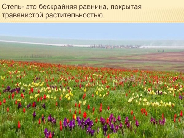 Весна в степи