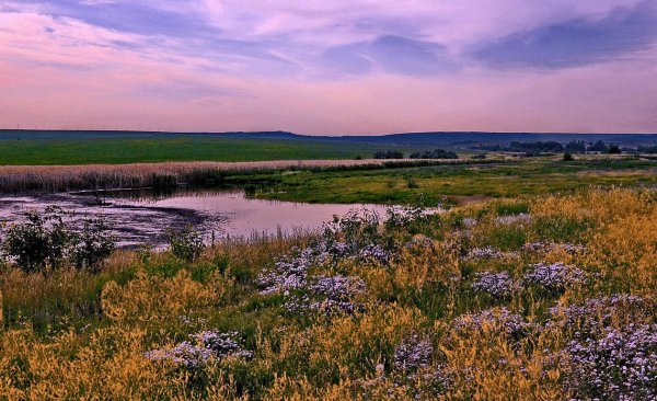 Весна в степи