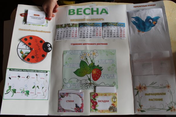 Лэпбук Весна