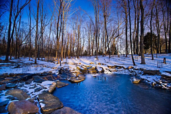 Василиса – вешней воды указательница