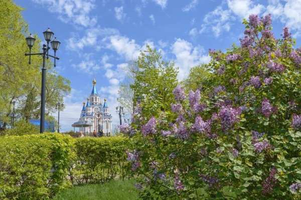 Набережная Хабаровск весной