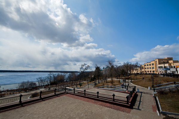 Цветение Сакуры в Хабаровске