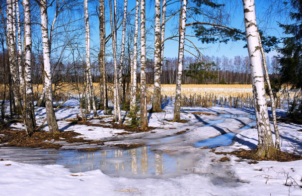 Река (ранняя Весна) Исаак