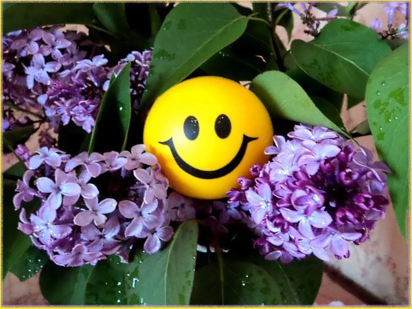 Весенняя радость