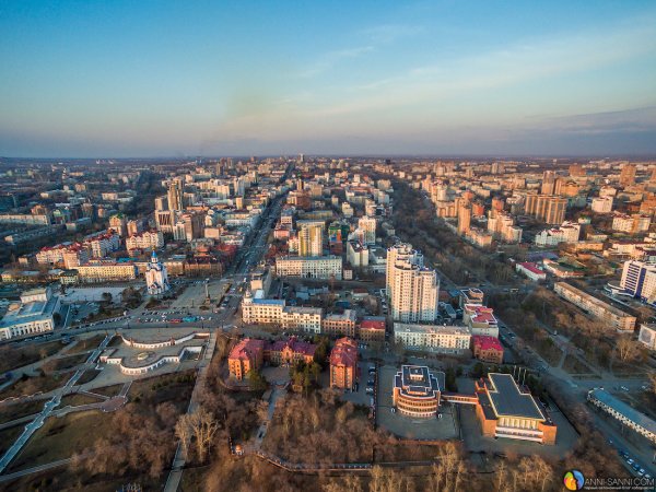 Сакура цветет Хабаровск