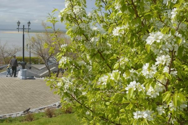 Хабаровск Весна