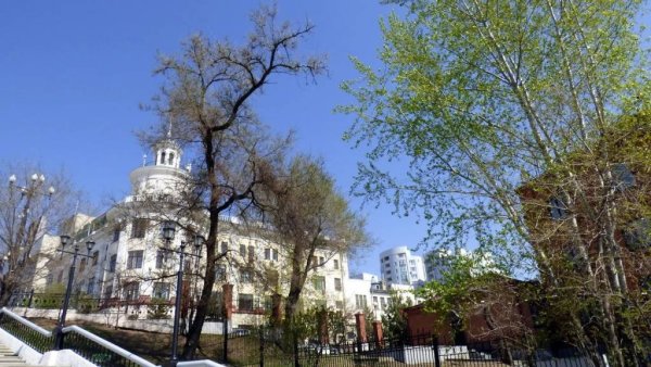 Аллея Сакуры Хабаровск