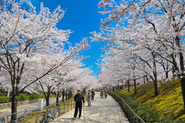 Города Хабаровска Спасо- Преображенского