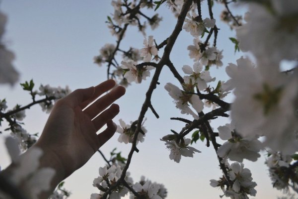 Хочу чтобы эта Весна изменила все в лучшую сторону