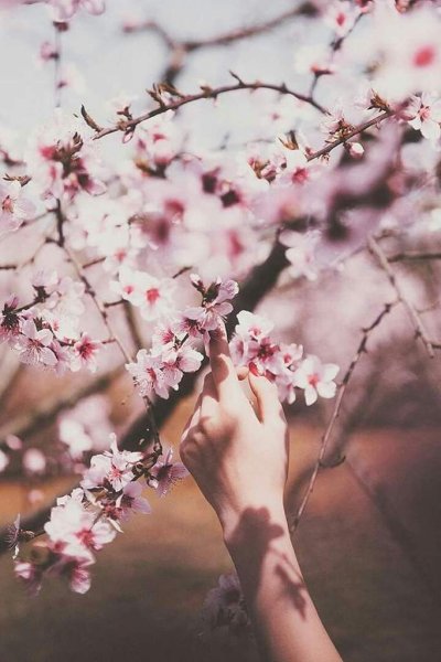 Весенняя Эстетика