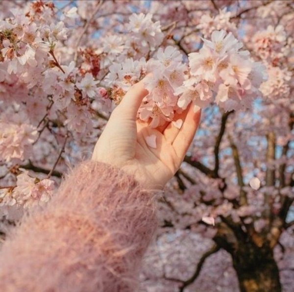 Весна Эстетика