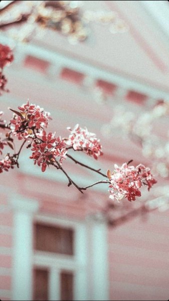 Весенняя Эстетика