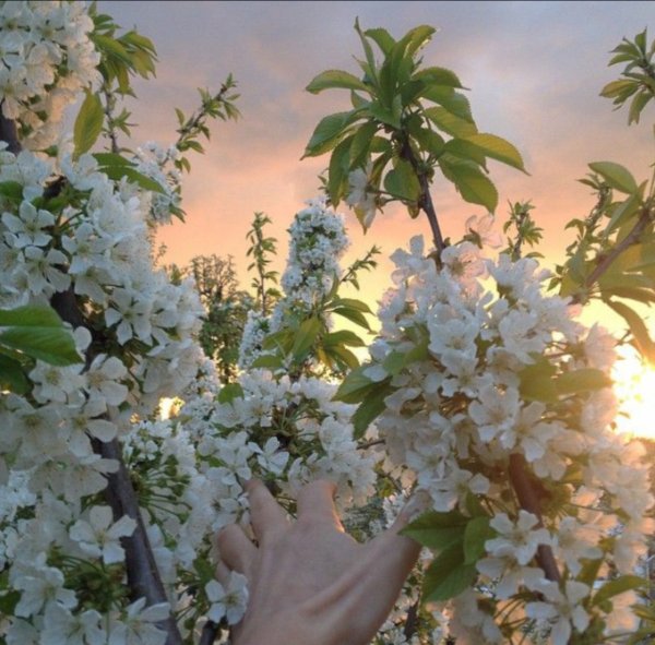 Эстетика в теплых тонах