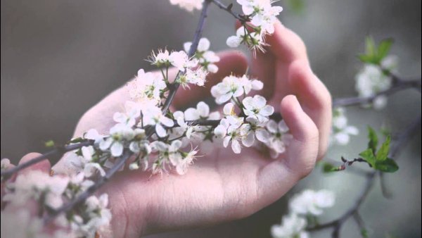 Нежность природа