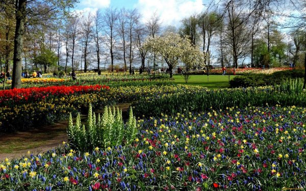 Парк «Кекенхоф» (Keukenhof) летом