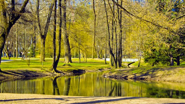 Парки весной