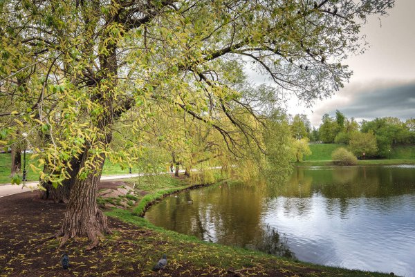 Парк весной