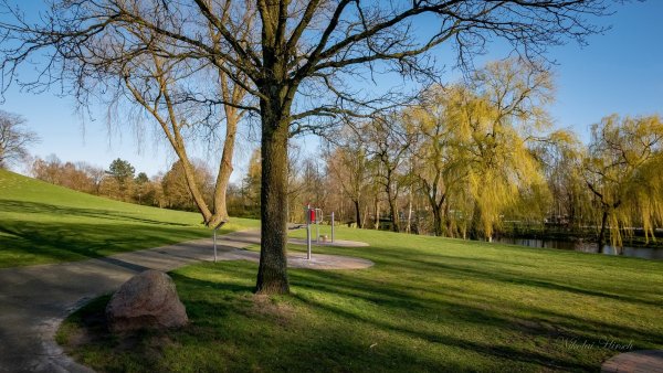 Весенний парк