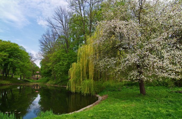 Центральный парк Нью-Йорк весной