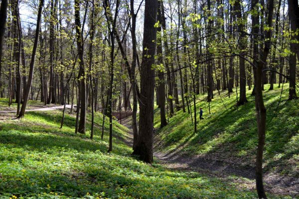 Весна в парке