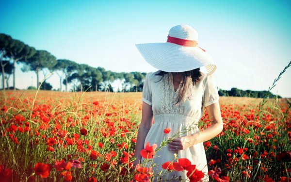 Тюльпаны и Мимоза