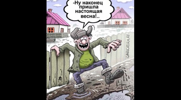 Наконец то Весна