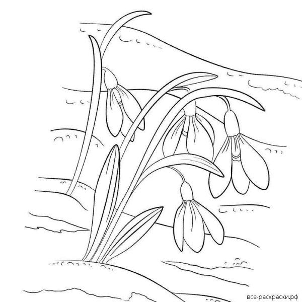 Весна рисунки дошкольников