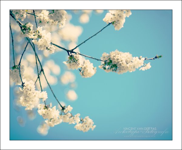 Весенний воздух