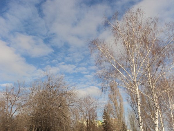 Витает в воздухе Весна апрель