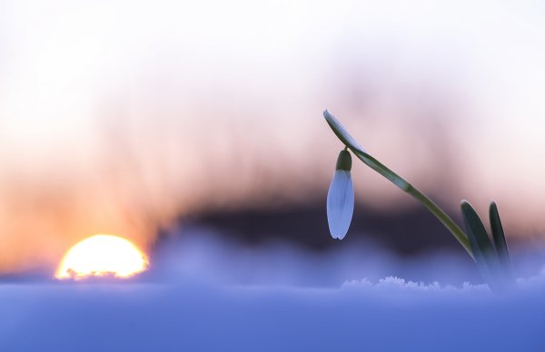 Воздух весной