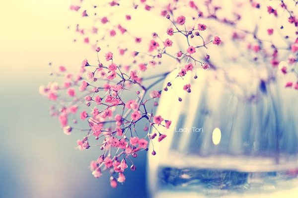 Вдохновение природа Весна