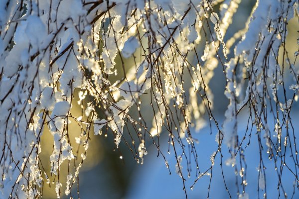 Ранняя Весна