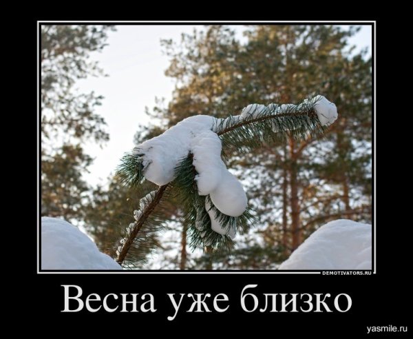 Весна пришла смешные