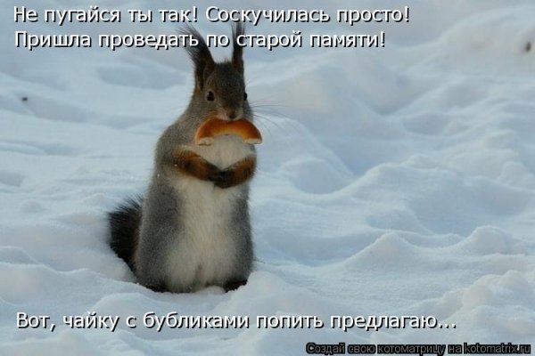 Холодная Весна приколы