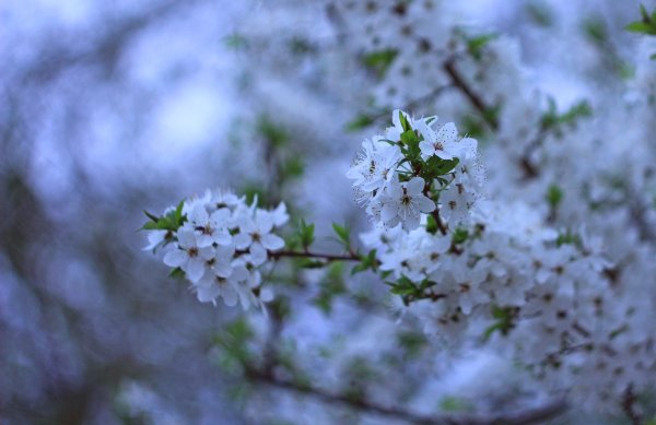 Открытки для души и настроения