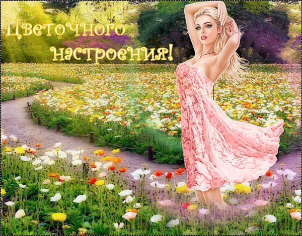 Подснежники в снегу