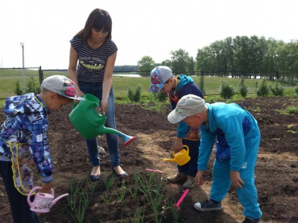 Весенние занятия людей
