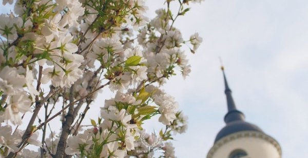 Калуга Весна природа 2022