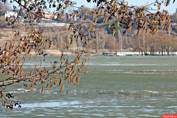 Затяжная Весна