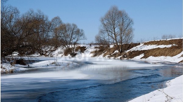 Калуга ранняя Весна