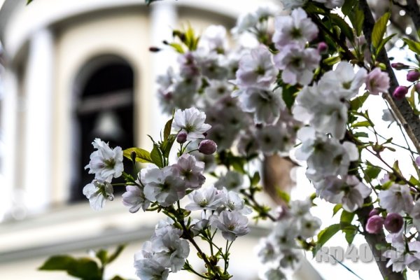 Калуга весной