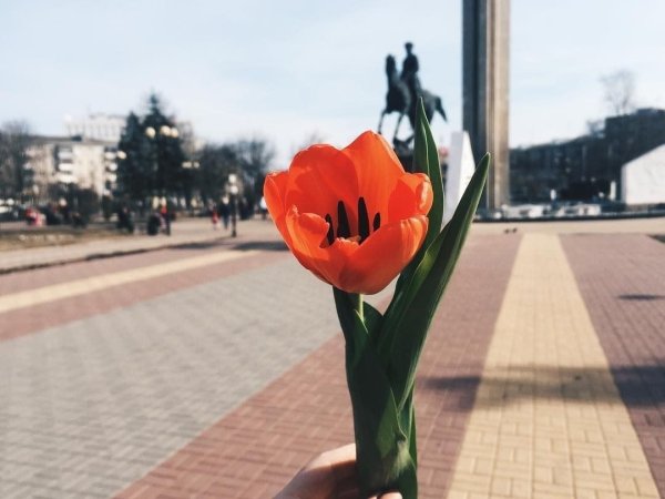 Оптина пустынь Весна