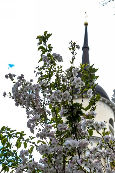 Красивые места в Калуге