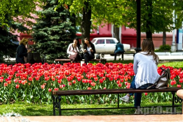 Весна в Калуге тюльпаны