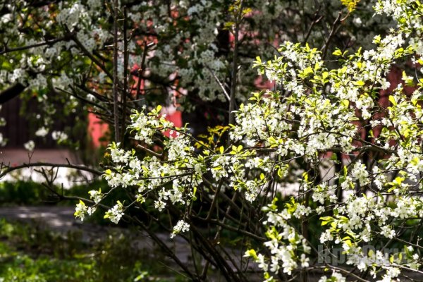 Калуга Боровск