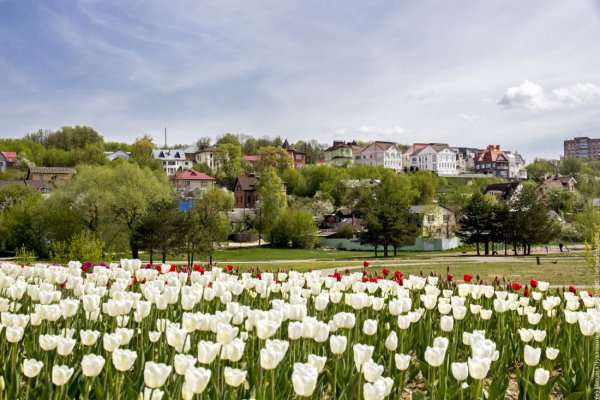 Природа города Рязани