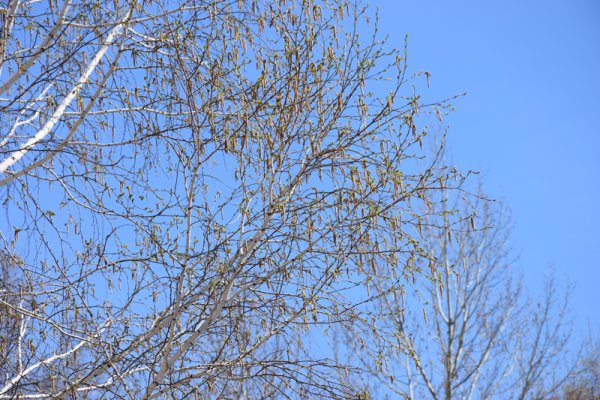 Калуга утро