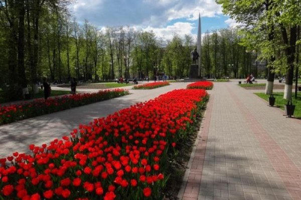 Черёмуха Нижний Новгород