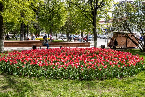 Воронежская область весной