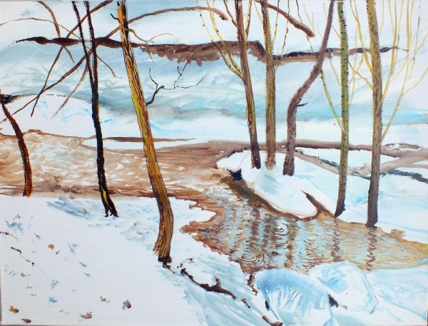 Природа родного края ранняя Весна